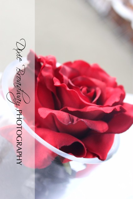 Dixie Broadway Photography Weddings